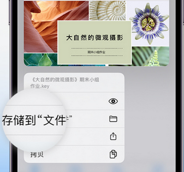 罗湖apple维修中心分享iPhone文件应用中存储和找到下载文件