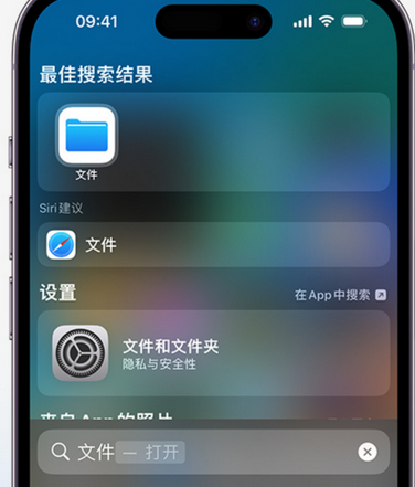 罗湖apple维修中心分享iPhone文件应用中存储和找到下载文件 