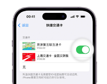 罗湖apple维修点分享iPhone上更换Apple Pay快捷交通卡手绘卡面 