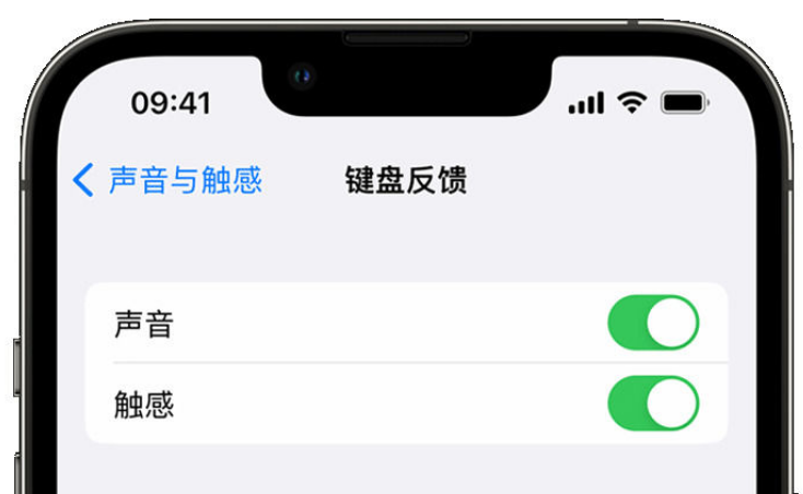 罗湖苹果手机维修分享iPhone 14触感键盘使用方法 