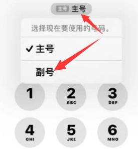 罗湖苹果14维修店分享iPhone 14 Pro Max使用副卡打电话的方法 