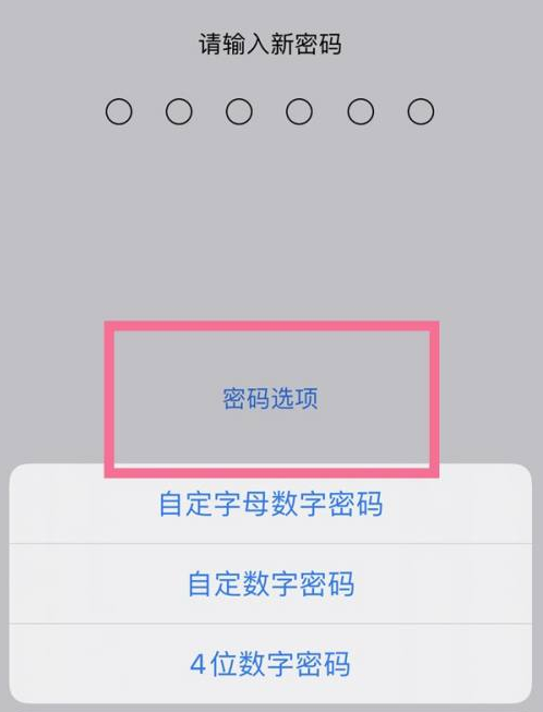 罗湖苹果14维修分享iPhone 14plus设置密码的方法 