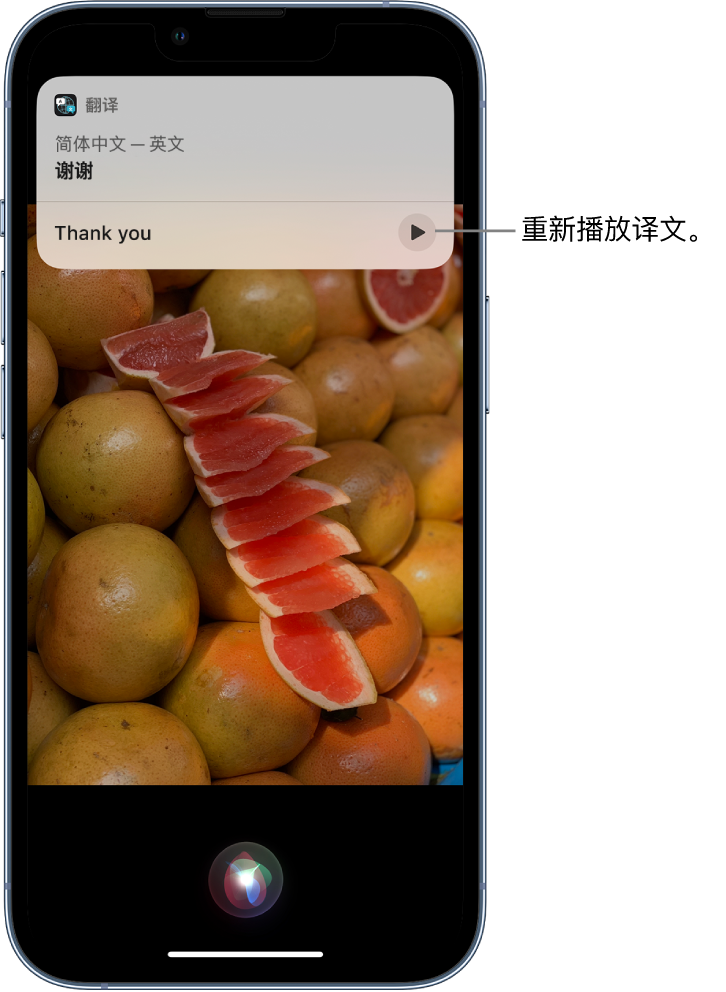 罗湖苹果14维修分享 iPhone 14 机型中使用 Siri：了解 Siri 能帮你做什么 