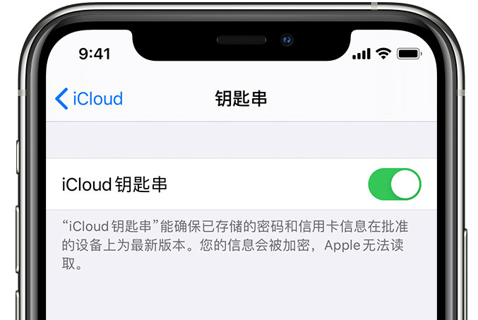 罗湖苹果手机维修分享在 iPhone 上开启 iCloud 钥匙串之后会储存哪些信息 