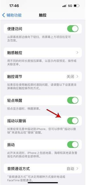 罗湖苹果手机维修分享iPhone手机如何设置摇一摇删除文字 