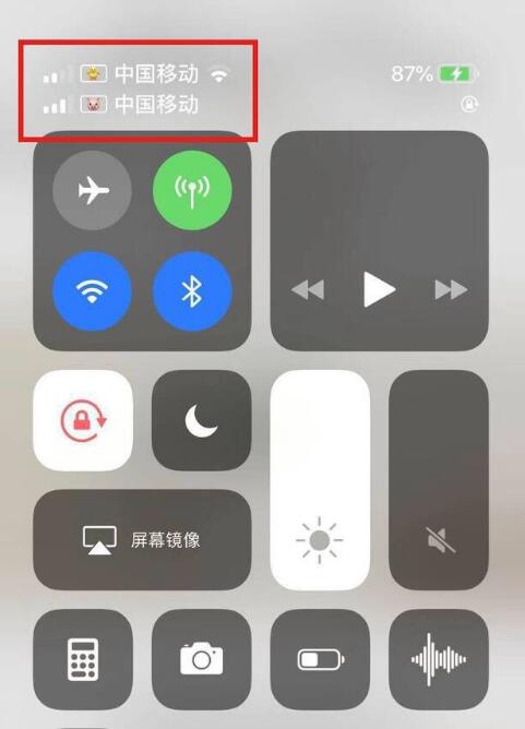 罗湖苹果手机维修分享为 iPhone 12 双卡设置标签 