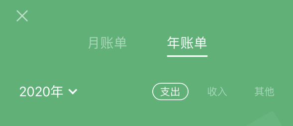 罗湖苹果手机维修分享如何在 iPhone 上查看支付宝和微信年支出账单 